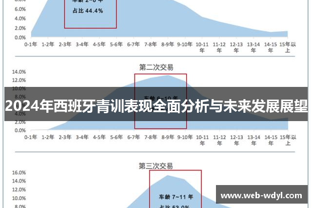 2024年西班牙青训表现全面分析与未来发展展望