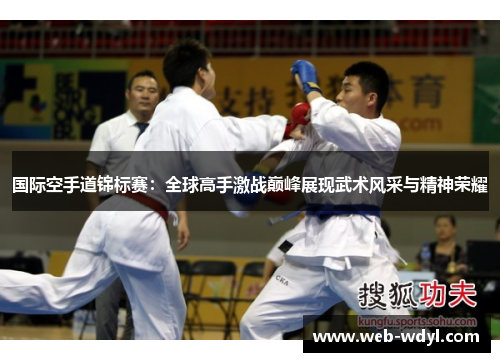 国际空手道锦标赛：全球高手激战巅峰展现武术风采与精神荣耀