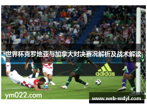 世界杯克罗地亚与加拿大对决赛况解析及战术解读
