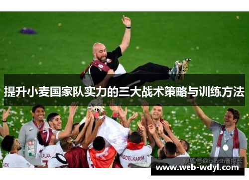 提升小麦国家队实力的三大战术策略与训练方法