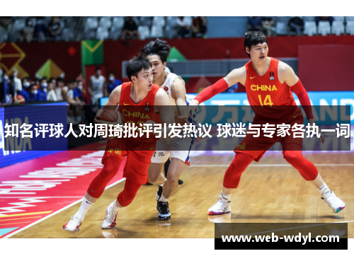 知名评球人对周琦批评引发热议 球迷与专家各执一词