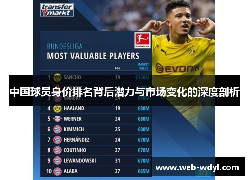 中国球员身价排名背后潜力与市场变化的深度剖析