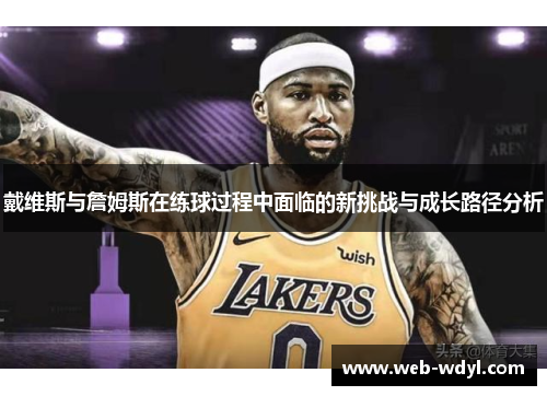 戴维斯与詹姆斯在练球过程中面临的新挑战与成长路径分析