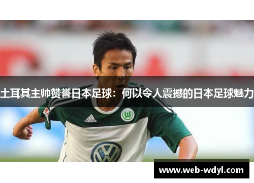 土耳其主帅赞誉日本足球：何以令人震撼的日本足球魅力