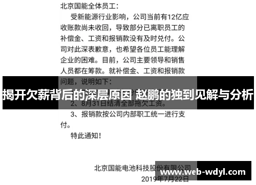 揭开欠薪背后的深层原因 赵鹏的独到见解与分析