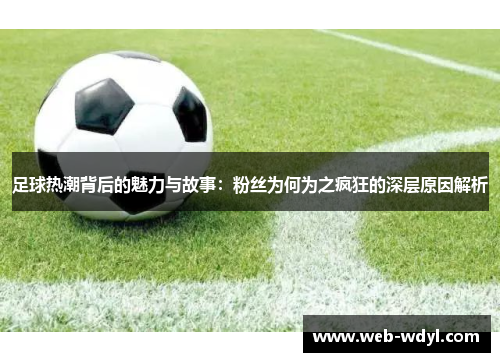 足球热潮背后的魅力与故事：粉丝为何为之疯狂的深层原因解析