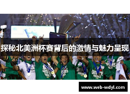 探秘北美洲杯赛背后的激情与魅力呈现